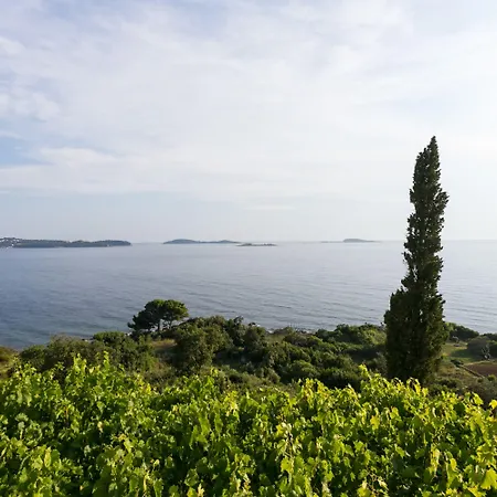 Gasthof Fontana Mlini